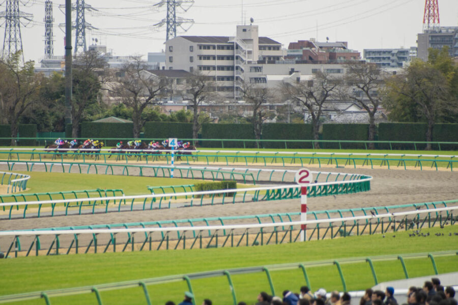 2025年4月6日（日）■大阪杯■総合指数表■注目馬/参考買い目■
