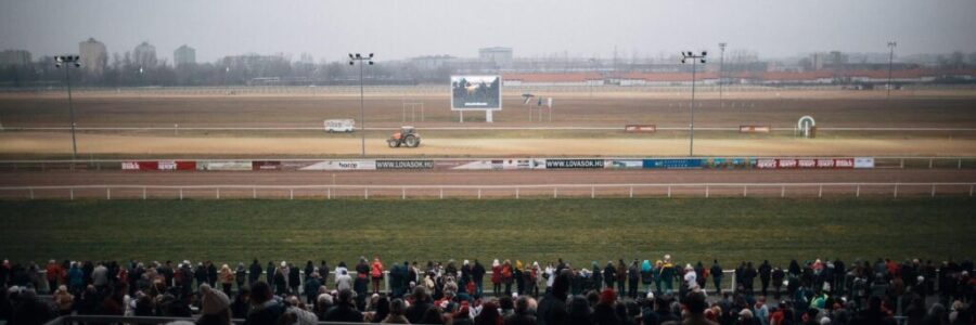 2025年11月30日（日）注目馬☆推薦馬＆参考買い目