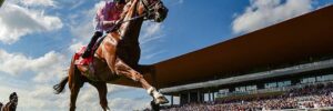 Curragh
