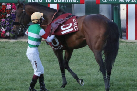 最近のダートレースはスローが多い・・・