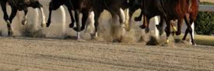 2025年5月17日（土）注目馬☆推薦馬＆参考買い目