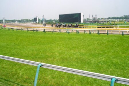 フェブラリーステークス（GI)　総合指数表（枠確定前）