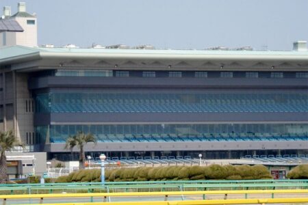 フェブラリーステークス■総合指数表(前日)&参考買い目 フェブラリーステークス■総合指数表(前日)&参考買い目