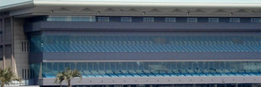 フェブラリーステークス■総合指数表（前日）＆参考買い目