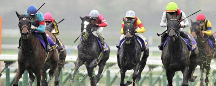 桜花賞を終えて・・・【2025/4/13/阪神競馬】