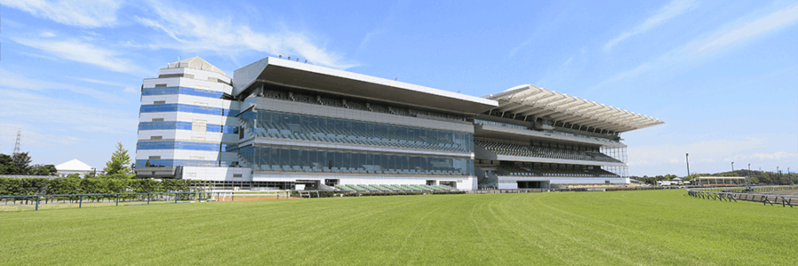 高松宮記念を終えて・・・【2025/3/30/中京競馬】 高松宮記念を終えて・・・【2025/3/30/中京競馬】