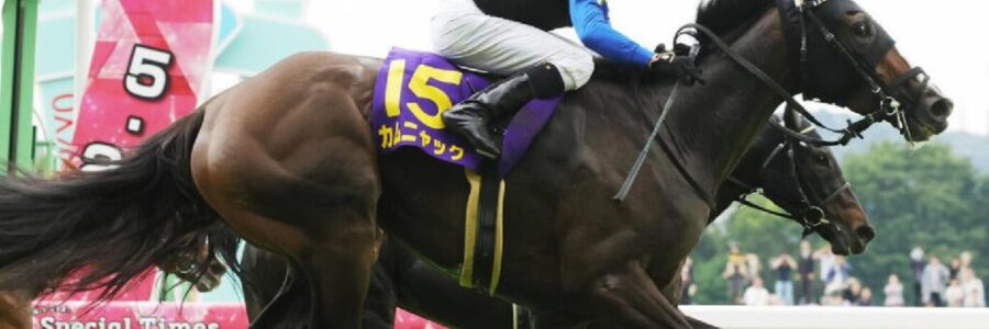 オークスから得たもの・・・【2025/5/25/東京競馬】