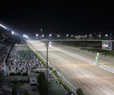 船橋競馬　かしわ記念