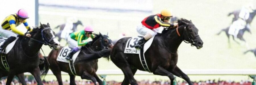 クロワデュノール強し！【2025/6/1/日本ダービー/東京競馬】