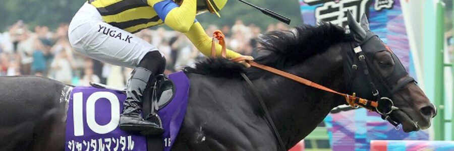 安田記念から得たもの・・・【2025/6/8/東京競馬】