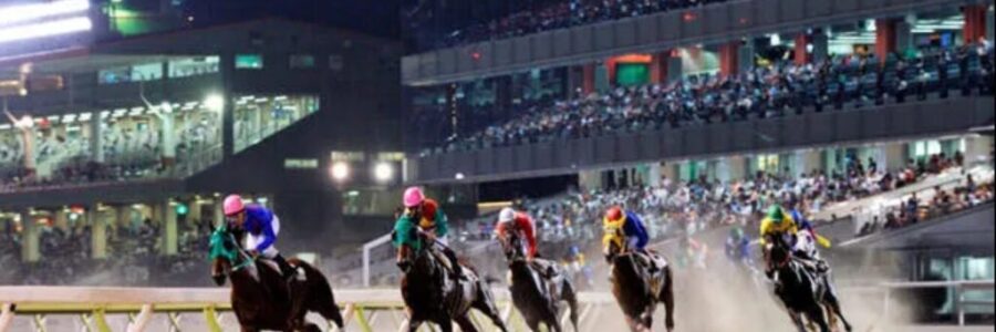 東京ダービー（Jpn I）【大井競馬】