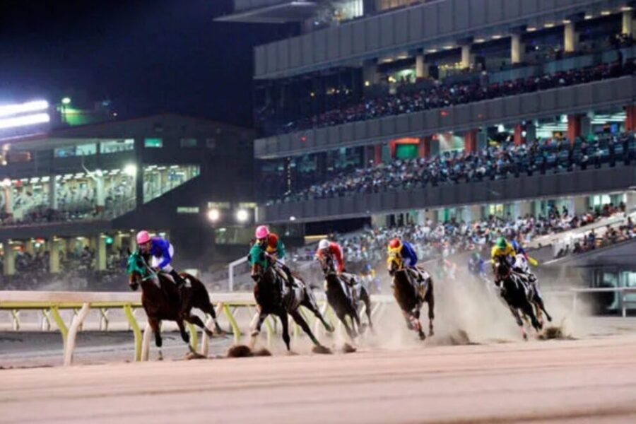 東京ダービー（Jpn I）【大井競馬】