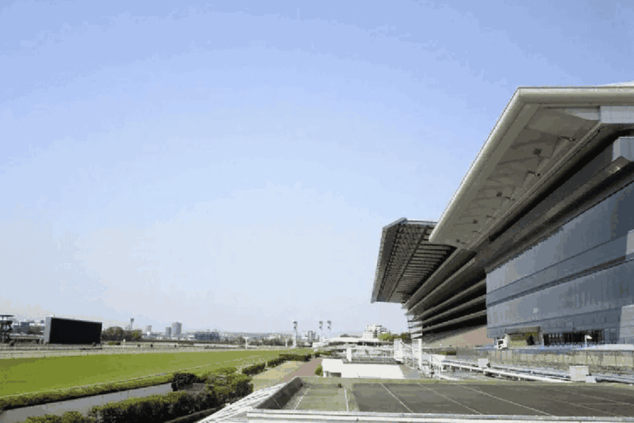 2025年6月1日（日）■日本ダービー■総合指数表（前日）■