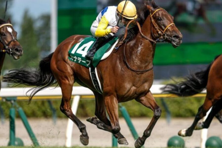 カナテープとキング騎手はすごい！＆【特別案内】