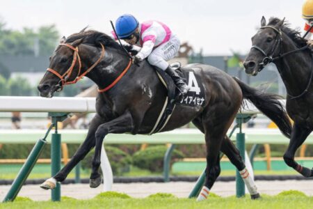 ケイアイセナが目指す先＆【会員案内】