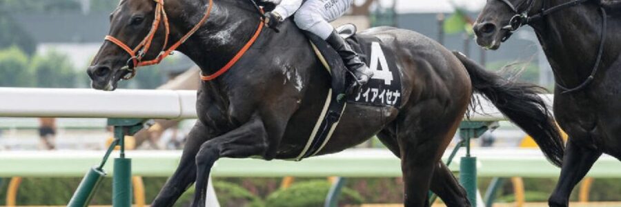 ケイアイセナが目指す先＆【会員案内】