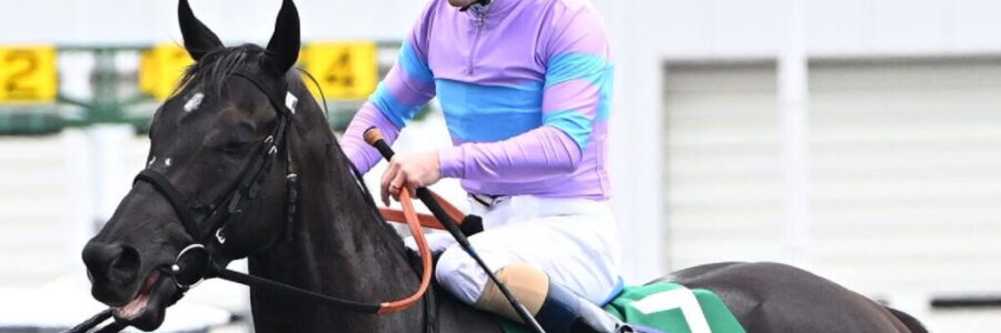 ナムラクレアはまだ走る!! ナムラクレアはまだ走る!!