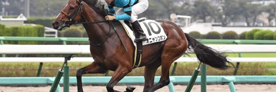 オニャンコポンは元気！＆【会員案内】