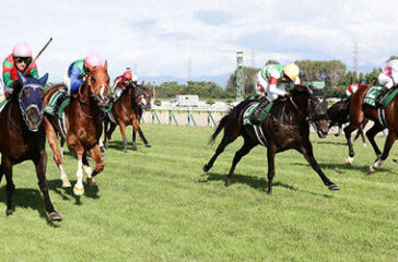niigatakeiba-新潟競馬