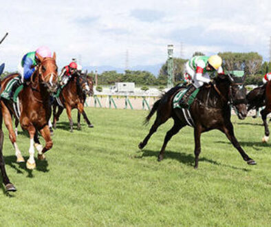 niigatakeiba-新潟競馬