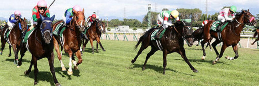2025年8月16日（土）注目馬☆推薦馬＆参考買い目