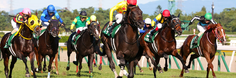 2025年8月31日（日）注目馬☆推薦馬＆参考買い目