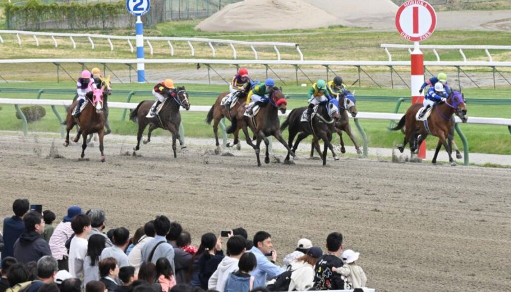 盛岡競馬-moriokakeiba