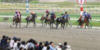 盛岡競馬-moriokakeiba
