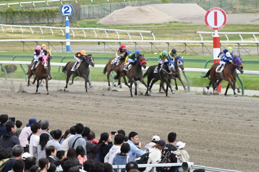 不来方賞（JpnII)【盛岡競馬】