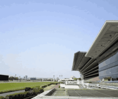 Tokyokeibazyou Kabe toukyo-keibazyo