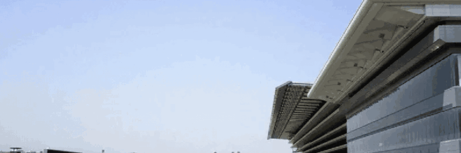 2025年10月12日（日）注目馬☆推薦馬＆参考買い目