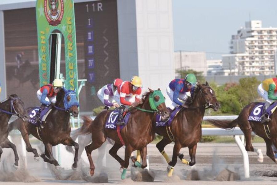 JBC 2025 【注目馬☆推薦馬＆参考買い目】