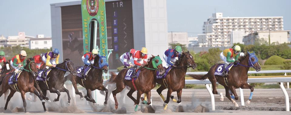 JBC 2025 【注目馬☆推薦馬＆参考買い目】