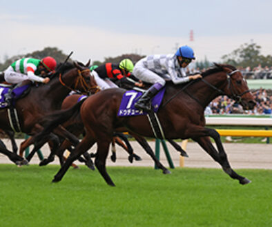 東京１１レース
