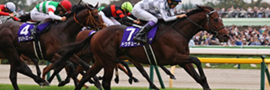 2025年11月2日（日）天皇賞（秋）（GI)【総合指数表＆参考買い目】