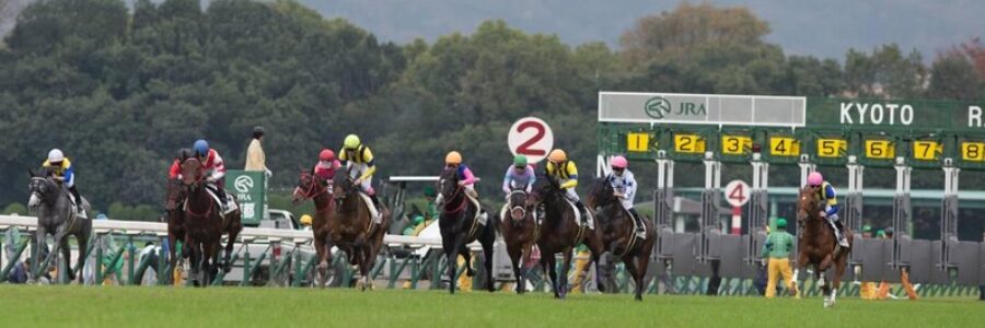 エリザベス女王杯（GI)【総合指数表＆参考買い目】