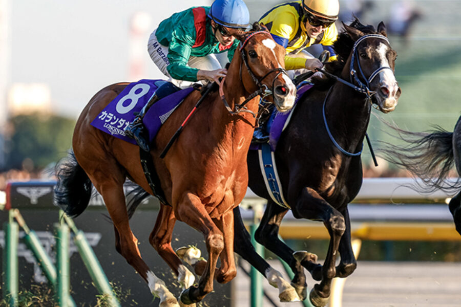 ジャパンカップから得たもの【カランダガン強し！】