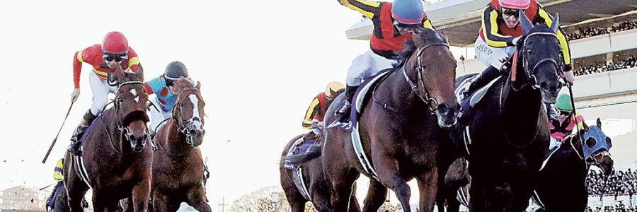 有馬記念（GI)　2025/注目馬☆推薦馬/参考買い目