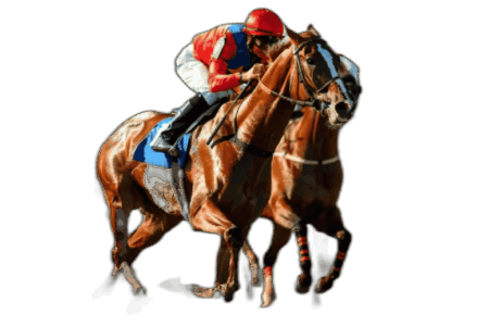 2026年4月4日(土)注目馬☆推薦馬&参考買い目 2026年4月4日(土)注目馬☆推薦馬&参考買い目