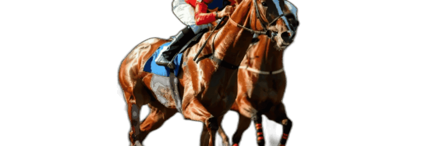 2026年4月4日(土)注目馬☆推薦馬&参考買い目 2026年4月4日(土)注目馬☆推薦馬&参考買い目