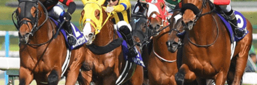 大阪杯(GI)総合指数表&参考買い目 大阪杯(GI)総合指数表&参考買い目