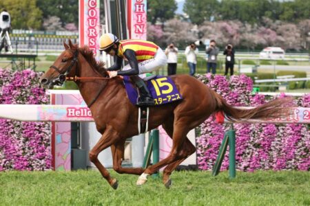 ジッピーチューンは捕らえた?【桜花賞】 ジッピーチューンは捕らえた?【桜花賞】