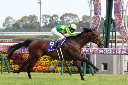 高松宮記念を終えて 高松宮記念を終えて